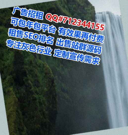 荔湾孕母信息技术公司